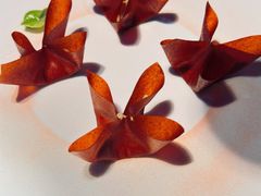 -映水芙蓉(上海万象城店)