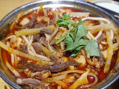 红汤羊杂-蒙料·手把肉(望京店)