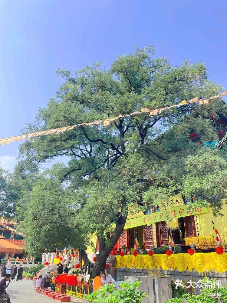 天津河东荐福观音寺