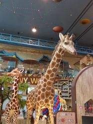 点击看大图 -卡通尼·Safari非洲探索乐园·生日会(金桥国际商业广场店)