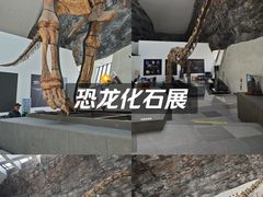 -中华赏石园