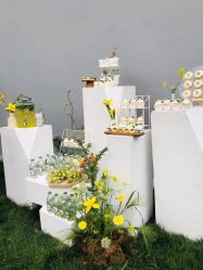 -曼格纳婚礼艺术中心(张江店)