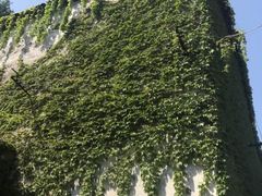 -书隐楼