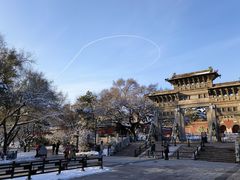 -北陵公园