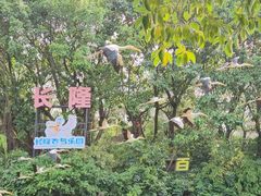-广州长隆飞鸟乐园