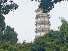 -徽园