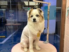 -FAELING PETS美天灵宠物(富力广场店)