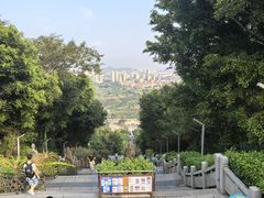 -青礁慈济宫
