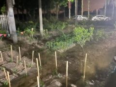 -小六农家乐(崇明西沙湿地店)