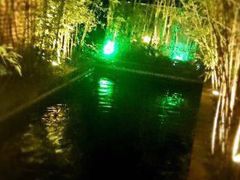 -梧桐花园餐厅(新城店)