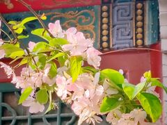 -海棠花溪(元大都城垣遗址公园)