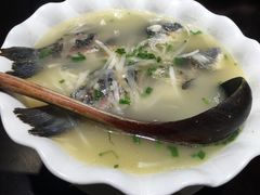 萝卜丝鲫鱼汤-三俞竹苑(卓展店)