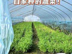 -小乡小镇·传承桐庐土菜·老板亲自烧的菜
