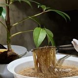 “冇空间，于是有无限可能性”