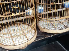 -到家尝北京菜(西坝河店)