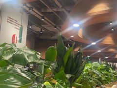 -云海肴汽锅鸡·云南小炒(曲江大悦城店)