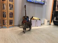 -幸运7纹身刺青Lucky7tattoo