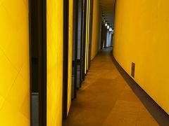 -巴黎路易威登基金会艺术中心 