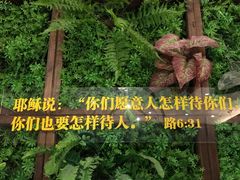 -彩虹之约•淮扬家宴(亚运村店)