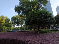 -重庆市江北嘴中央商务区中央公园