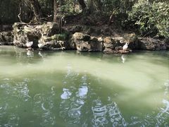 -兰亭风景区