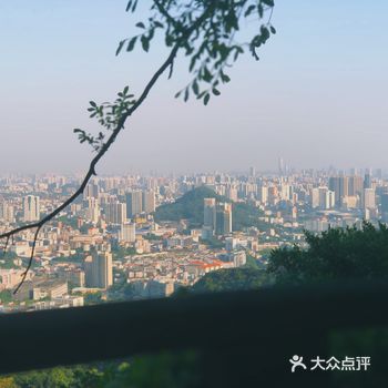 白云山上还有个鹦鹉馆？？