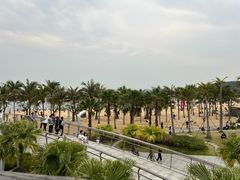 -大梅沙海滨公园