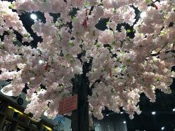 -简影造型·自选烫染接发salon