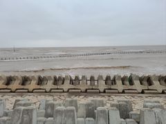 -南汇嘴观海公园