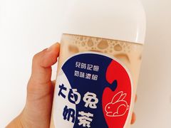 -猫的魔法密林(衣裳街店)