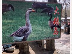 -大鹅岛绿色生态美食园