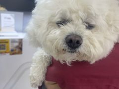 -达爱动物医院·犬猫分区·CT·复杂眼科(远洋山水分院)