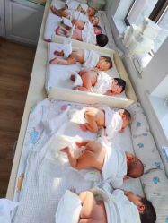 -海豚湾高端月子会所(黄浦店)