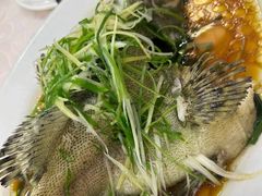 -凤城礼记鱼翅海鲜酒家(新马路总店)