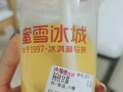 -蜜雪冰城(托乐嘉店)