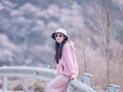 -妙峰山风景名胜区