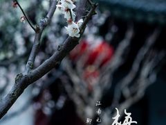-莘庄公园