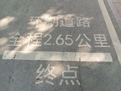 -海珠湖公园