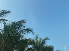 -深圳湾公园(南山区)