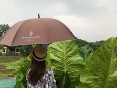 -四季酒店下午茶