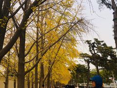 -裕龙汤泉