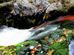 -丹东天桥沟景区