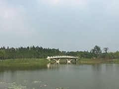 -上海长兴岛郊野公园