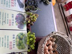 -马陆小张葡萄园农家乐