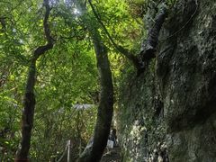 -七仙岭温泉国家森林公园