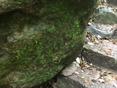 -青峰峡国家森林公园