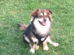 -重庆中央公园(渝北区)