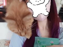-楼上猫咖(罗湖店)