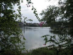 -三亚亚龙湾凯莱仙人掌度假酒店