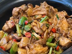 现杀果园鸡—黄焖鸡-生态苑农庄(十里画廊遇龙河店)